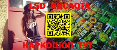 шишки Бийск
