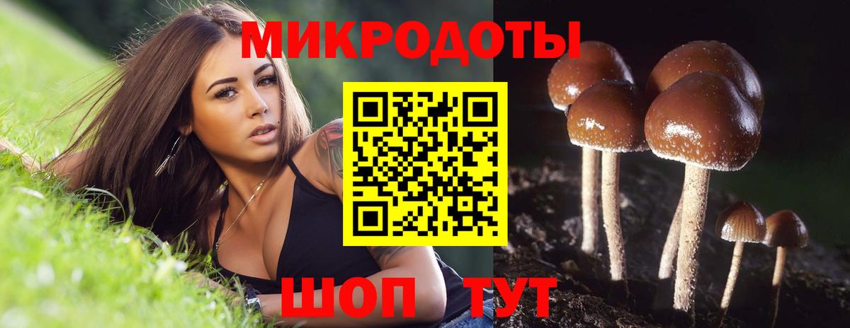 Галлюциногенные грибы Psilocybe Керчь
